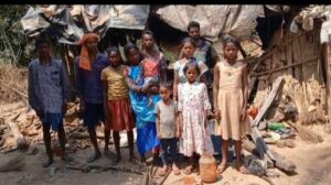 नवादा में 22 हाथियों के झुंड ने तीन घरों को किया क्षतिग्रस्त, फसलें भी की बर्बाद