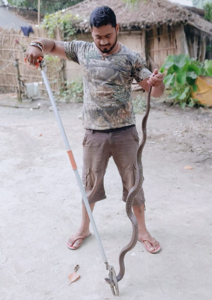 घर में कोबरा सांप को देख परिजनों में मची अफरा-तफरी