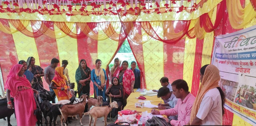 लौरिया प्रखंड के धोबनी गाँव में आयोजित हुआ “गोट हाट”।*