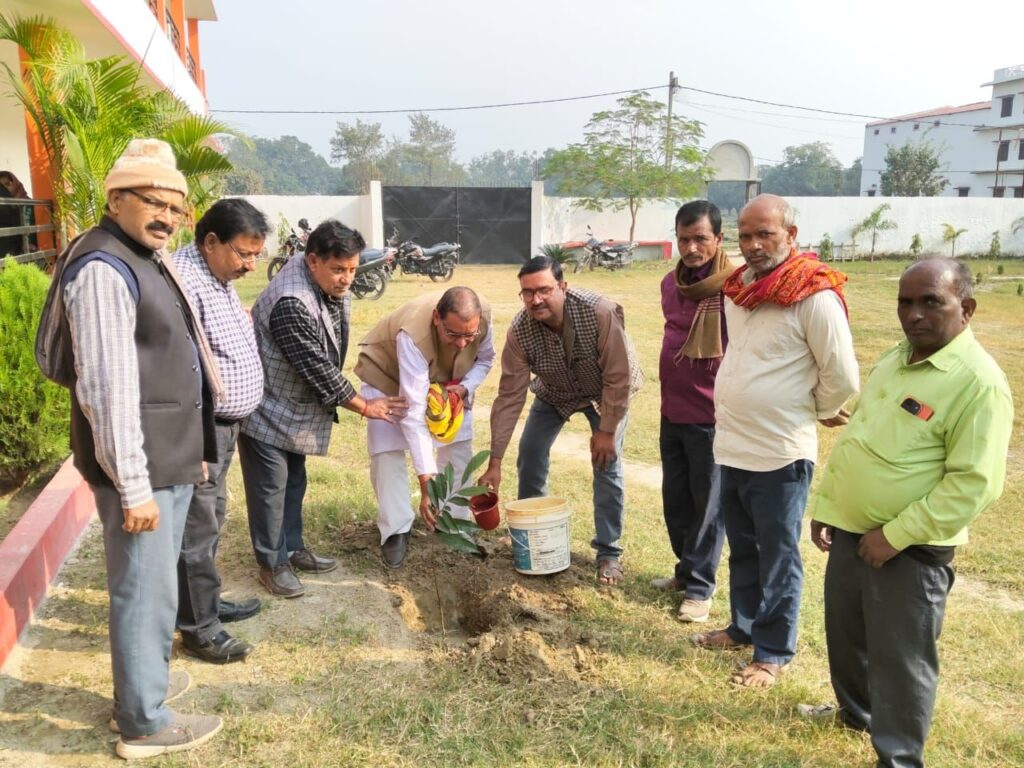 पंडित उमाशंकर तिवारी महिला महाविद्यालय में लगा चंपा का पौधा