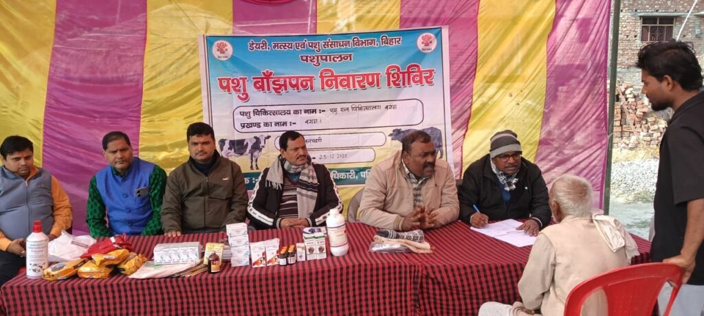 पशु शल्य चिकित्सालय बगहा-01 द्वारा लगाया गया पशु बांझपन शिविर,पशु बांझपन संबंधी जानकारी और उपचार बताया गया