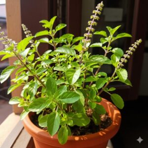 तुलसी व तुलसी-माला की महिमा -पं-भरत उपाध्याय