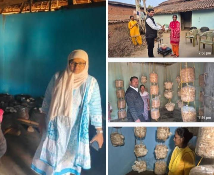 मशरूम की बिक्री से प्राप्त चेक पाकर खिल उठे लाभुकों के चेहरेव