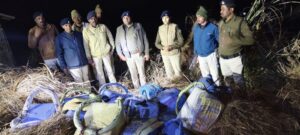 बगहा बथवरिया थाना पुलिस को मिली बड़ी कामयाबी, दो क्विंटल तीन किलो गांजा बरामद-एसपी रामानंद कौशल