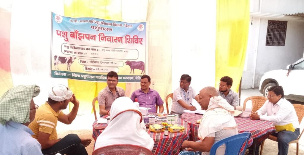 पशु शल्य चिकित्सालय ने पशु बांझपन शिविर लगाकर ,ईलाज किया