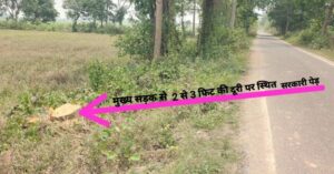 सरकारी पेड़ काटने को लेकर मटियरिया मुखिया दिवाकर पटवारी ने थाने में दिया आवेदन, करवाई का किया मांग