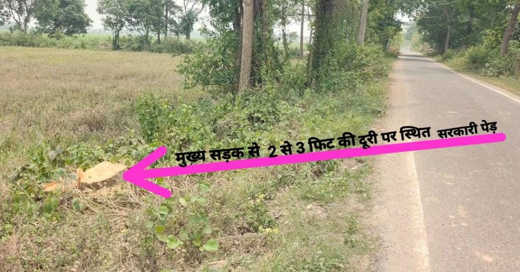 सरकारी पेड़ काटने को लेकर मटियरिया मुखिया दिवाकर पटवारी ने थाने में दिया आवेदन, करवाई का किया मांग