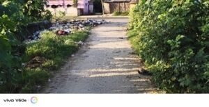 स्वच्छता अभियान को मुंह चिढ़ा रही झाड़ियों से बदहाल हुई पिपरिया जाने वाली मुख्य सड़क