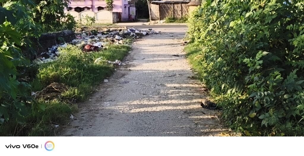 स्वच्छता अभियान को मुंह चिढ़ा रही झाड़ियों से बदहाल हुई पिपरिया जाने वाली मुख्य सड़क