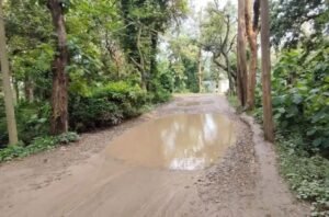 वाल्मीकि टाइगर रिजर्व के बीच एनएच-727 पर आवागमन की राह खुलने की उम्मीद